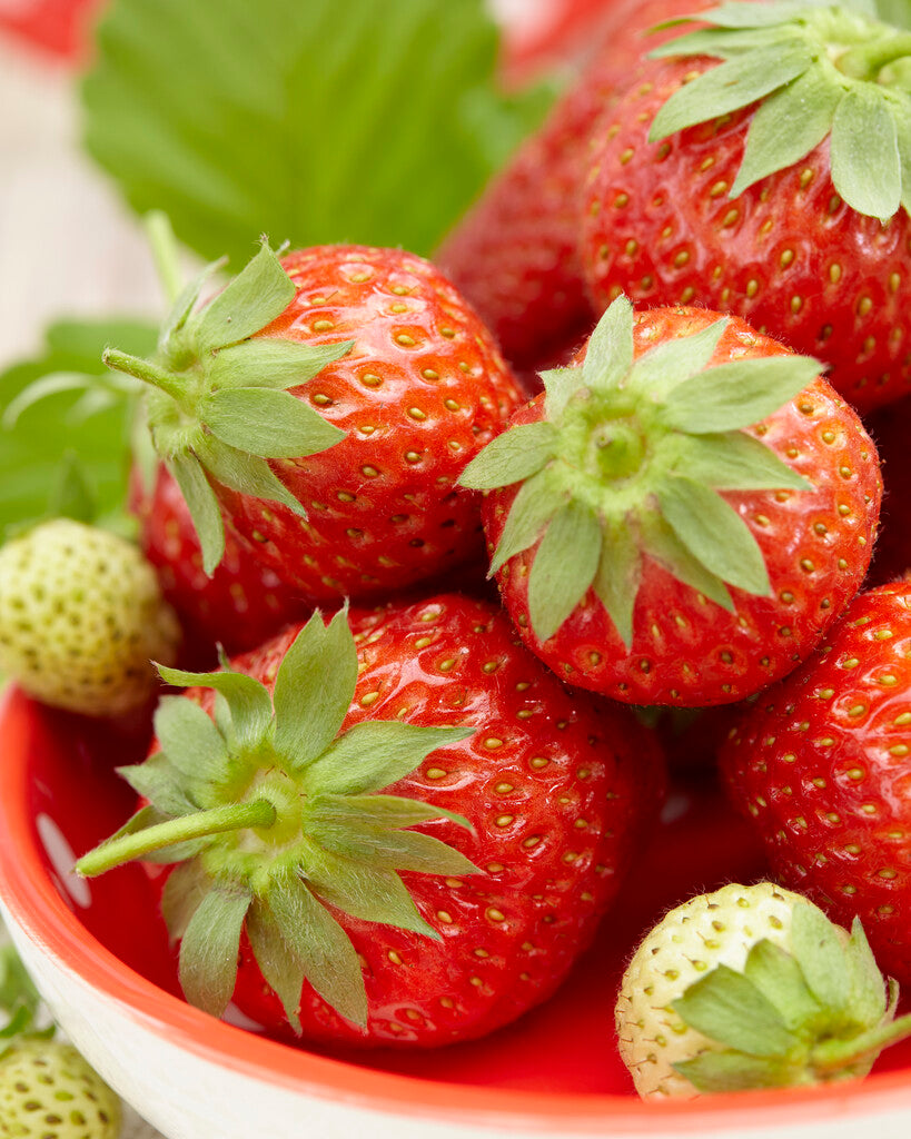Strawberry Korona 3-pack