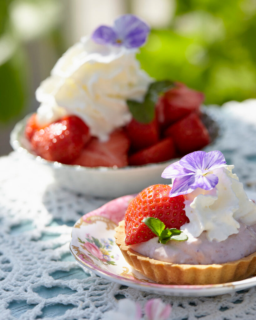 Strawberry Senga 3-pack