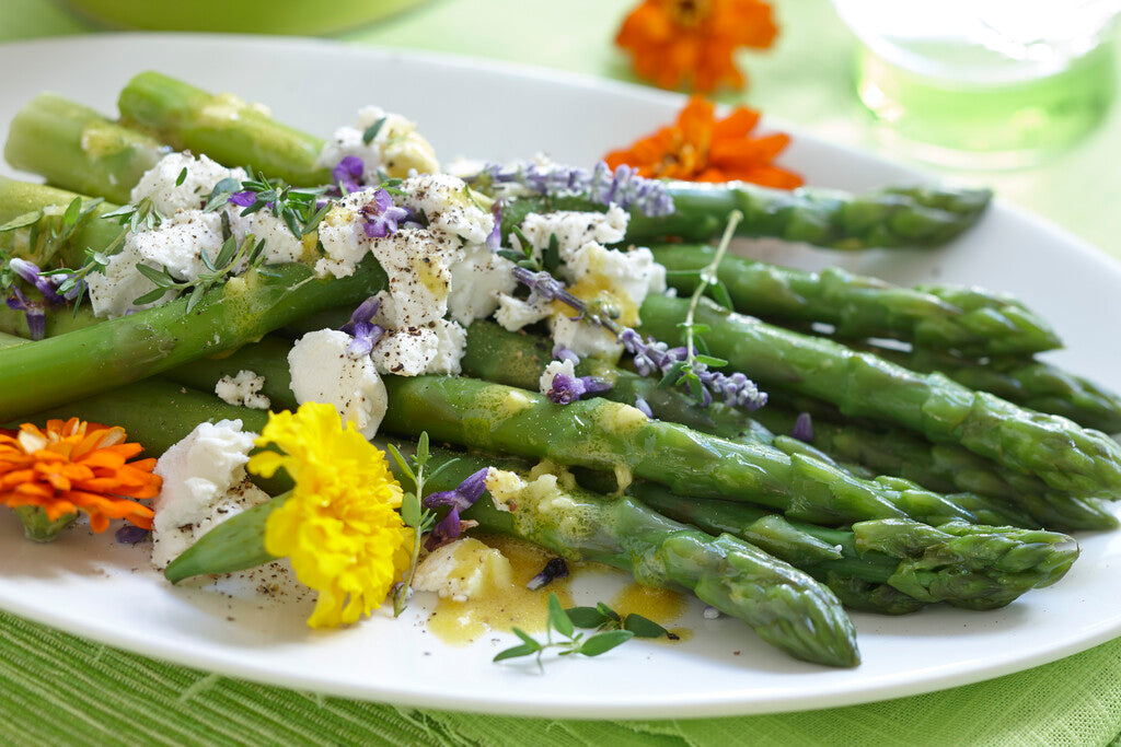 Asparagus Viridis 2-pack