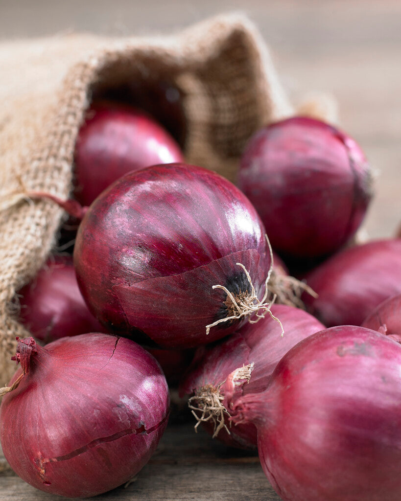 Onion Red Baron 250 g