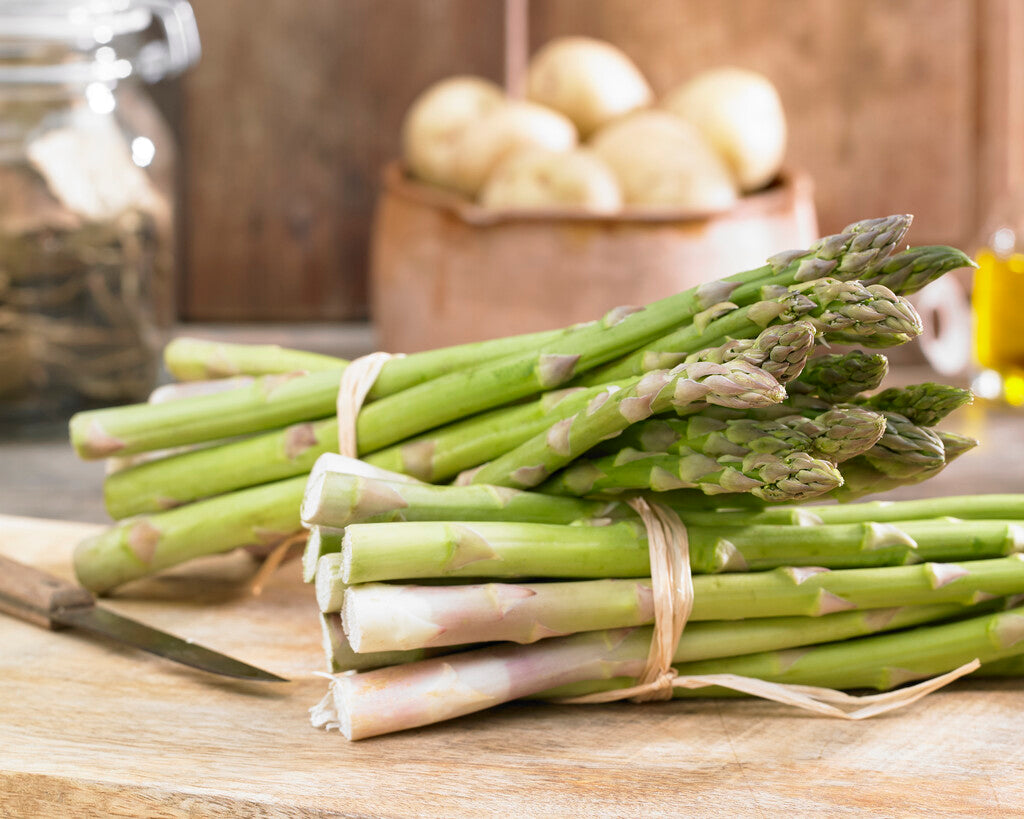 Asparagus Viridis 2-pack