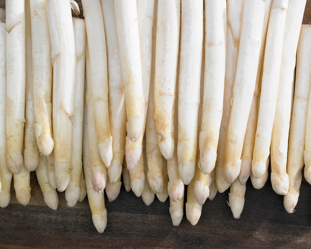 Asparagus Albus 2-pack