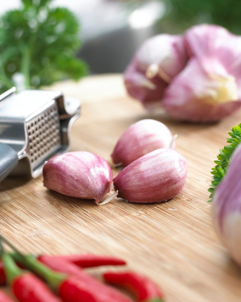 Garlic White 3-pack
