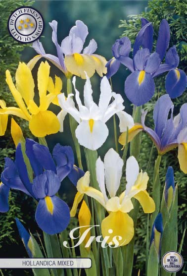 Iris Mixed 15-pack