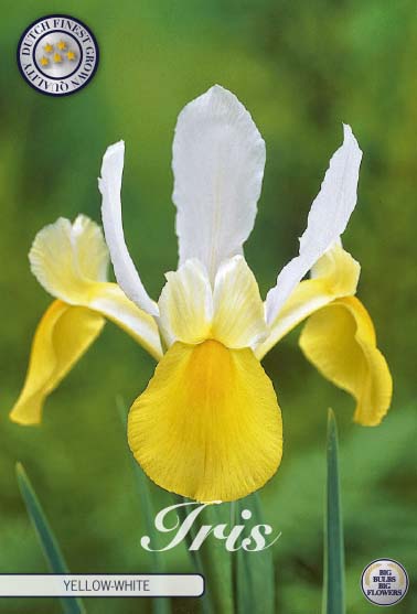 Iris Symphony 15-pack