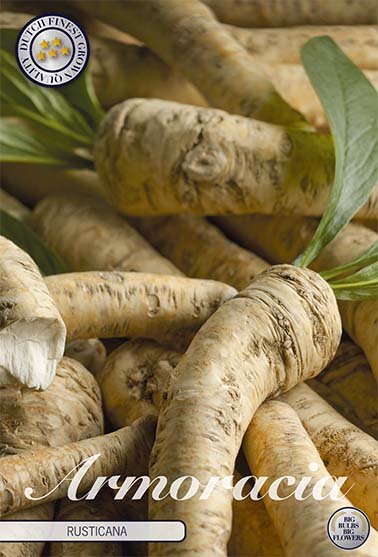 Armoracia 1-pack - Svedberga Plantskola AB - Köp växter Online med hemleverans.