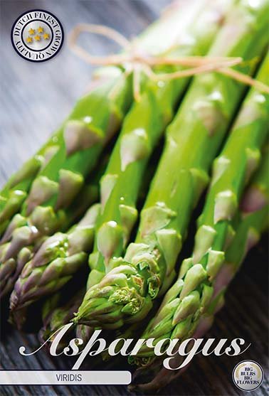 Asparagus Viridis 2-pack - Svedberga Plantskola AB - Köp växter Online med hemleverans.