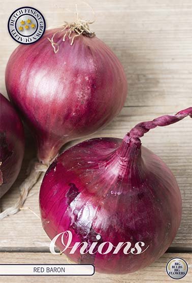 Onion Red Baron 250 g - Svedberga Plantskola AB - Köp växter Online med hemleverans.