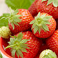 Strawberry Korona 3-pack