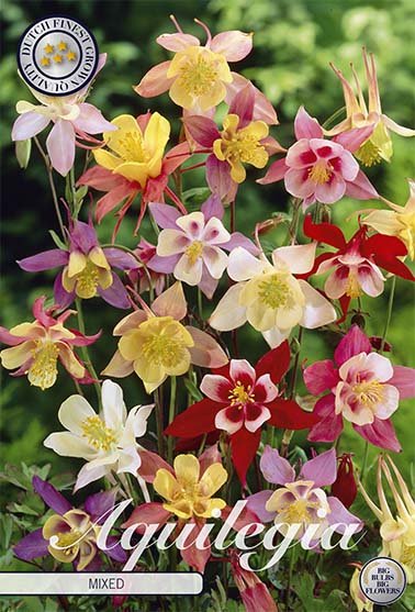 Aquilegia Mixed 3-pack - Svedberga Plantskola AB - Köp växter Online med hemleverans.