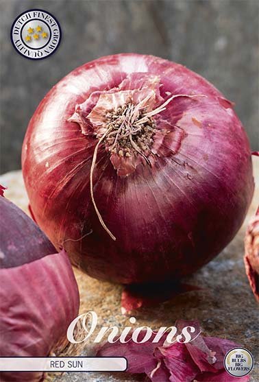 Onion Red Sun 250 g - Svedberga Plantskola AB - Köp växter Online med hemleverans.